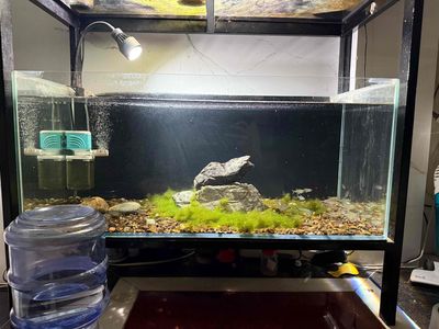 Hồ cá 80x36x40 5li full từ A tới Z.. Mua bán Phụ kiện, Thức ăn, Dịch vụ tại Quận Bình Tân Tp Hồ Chí Minh được đăng bởi Lưu Tấn Phát hình 1