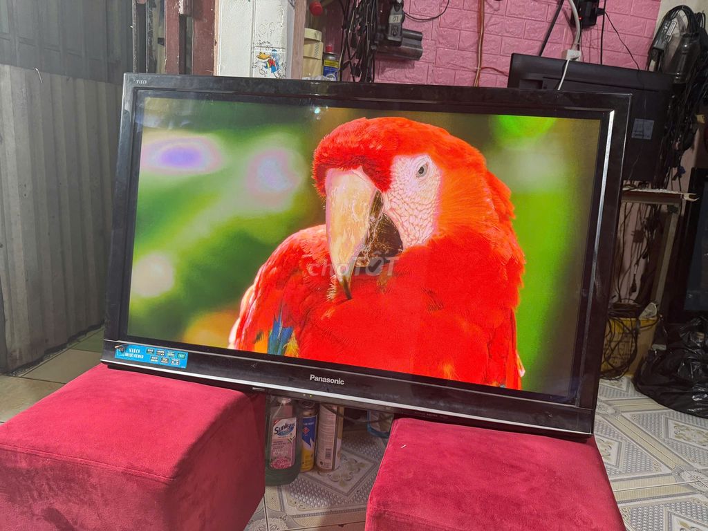 Tivi Panasonic TH-P42G10S. Mua bán Tivi, Âm thanh tại Quận Tân Bình Tp Hồ Chí Minh được đăng bởi hồ hoàng triều hình 1