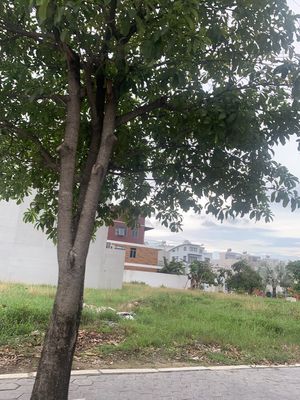 Bán nhanh lô đất The Seasons ngay Lotte giá 4.4 tỷ, DT 5x21m. Sổ sẵn. Mua bán đất tại Thành phố Thuận An Bình Dương được đăng bởi MINH TRÍ