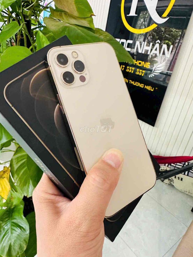 🔥iphone 12 Pro 256G Gold Quốc tế Mỹ Zin đẹp keng F. Mua bán Điện thoại tại Thành phố Biên Hòa Đồng Nai được đăng bởi Oanh Hoang hình 1
