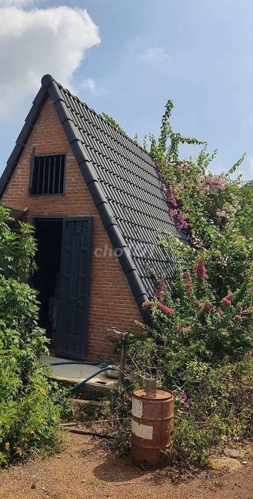 Thuê nguyên căn Homestay 100k/1 đêm