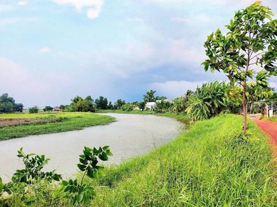 Đất làm nhà vườn nghỉ dưỡng tại Thị Trấn Cần Giuộc, SHR, giá siêu rẻ. Mua bán đất tại Huyện Cần Giuộc Long An được đăng bởi Nguyệt Đỗ