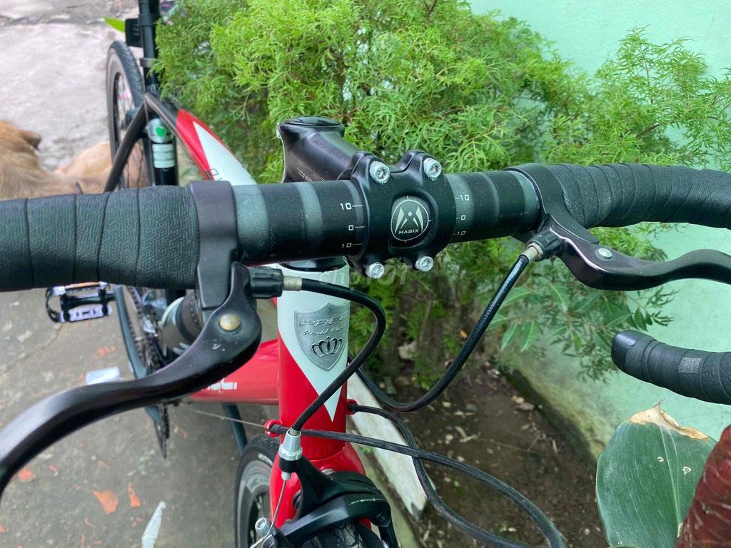 xe đạp nhật hàng bãi còn đẹp chạy cực êm. Mua bán Xe đạp tại Quận Cái Răng Cần Thơ được đăng bởi mua bán trao đổi âm thanh chí công hình 5