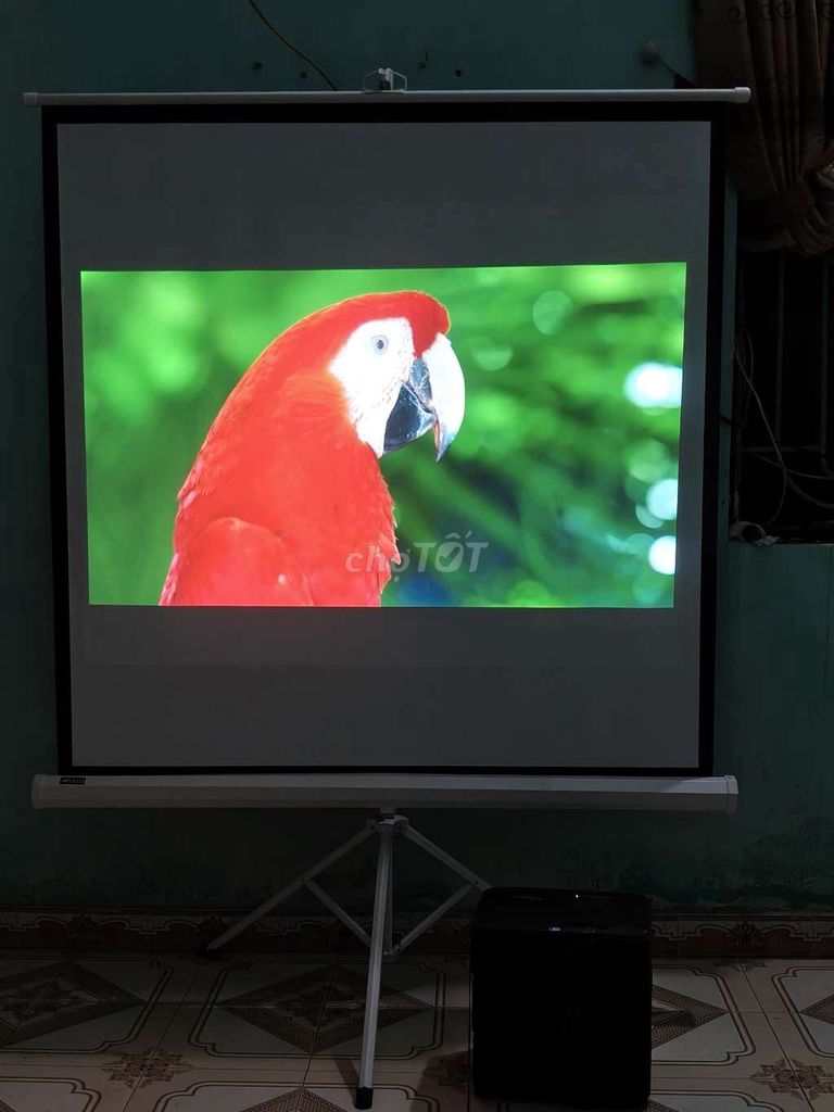 Máy chiếu Optoma Đen. Mua bán Đồ dùng văn phòng tại Huyện Thuỷ Nguyên Hải Phòng được đăng bởi Quang Hải hình 1