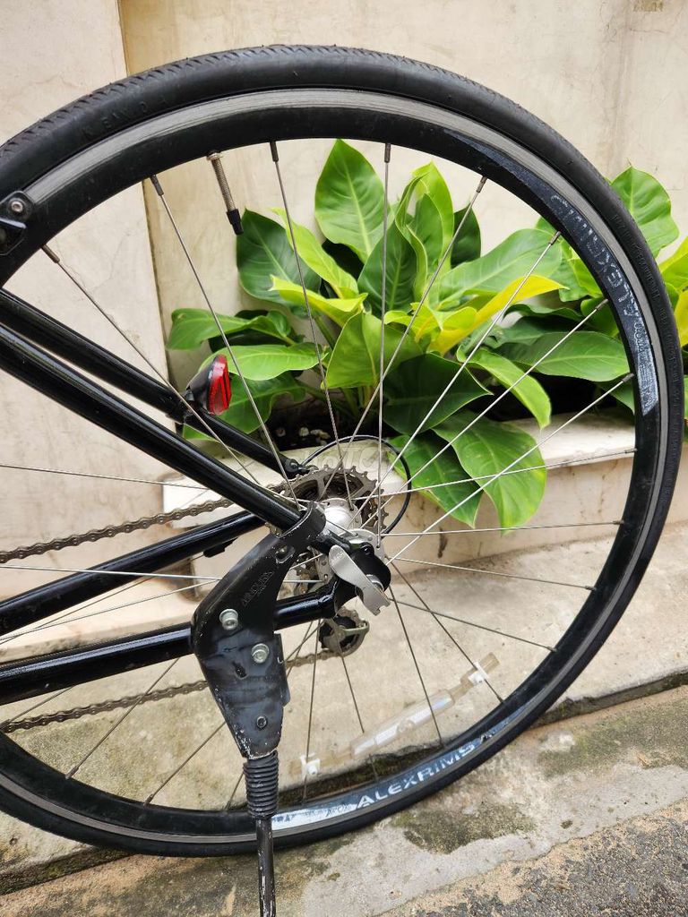 Xe đạp đua Louis Garneau RSS-III Đen. Mua bán Xe đạp tại Quận Tân Bình Tp Hồ Chí Minh được đăng bởi Mr Cuong hình 13