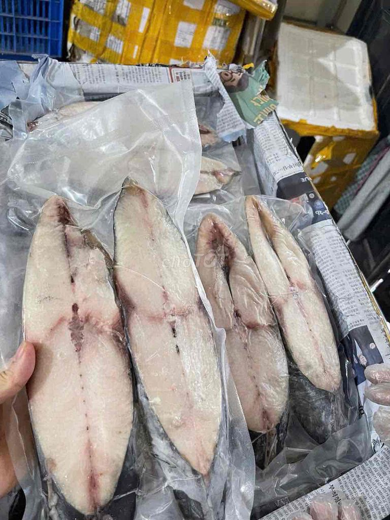 Cá nụ cắt khúc tươi ngon. Mua bán Đồ ăn, thực phẩm và các loại khác tại Huyện Thuỷ Nguyên Hải Phòng được đăng bởi Hs Biển hình 1