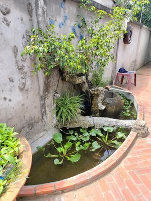 Nhà Hữu Định Cho thue. Cho thuê nhà ở tại Huyện Châu Thành Bến Tre được đăng bởi Lập