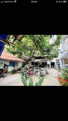 Hiếm, nhà sân vườn 511m2, MT 80 Tân Trang, P.09, Q.TB,50tỷ