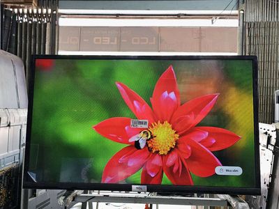 Android TCL 32 inch - 32S5200. Giọng Nói - Đẹp 98%. Mua bán Tivi, Âm thanh tại Huyện Hóc Môn Tp Hồ Chí Minh được đăng bởi Chinh Anh