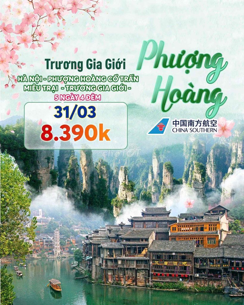 Tour Trương Gia Giới 5N4Đ chỉ từ 8.x. Du lịch tại Quận Đống Đa Hà Nội được đăng bởi Anh thư hình 1