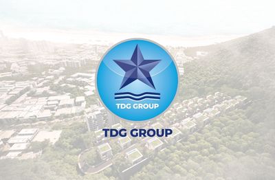 TDG Group logo