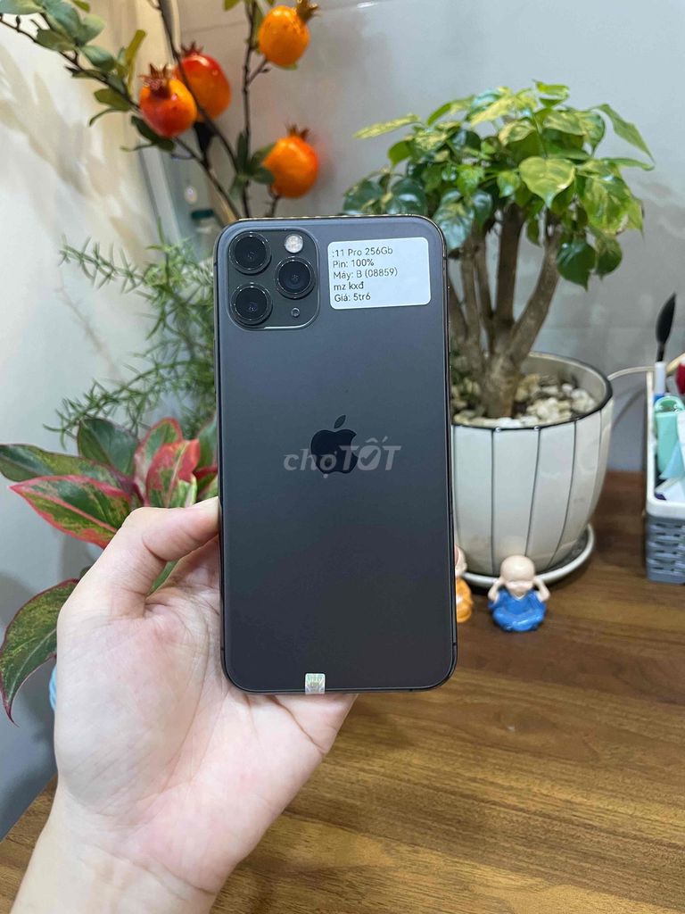 Apple iPhone 11 Pro 256Gb - Đen. Mua bán Điện thoại tại Huyện Hóc Môn Tp Hồ Chí Minh được đăng bởi Luân Hoài hình 1