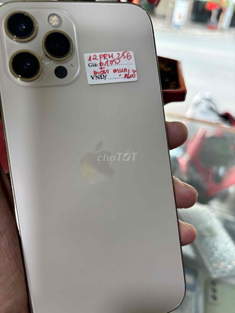 Apple iPhone 12 Pro Max 256GB Vàng. Mua bán Điện thoại tại Quận Tân Phú Tp Hồ Chí Minh được đăng bởi gia phát hình 1