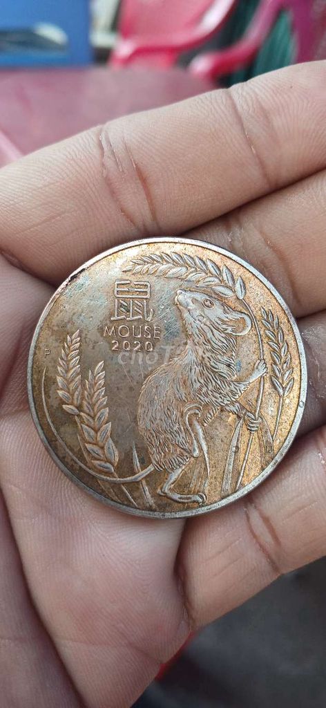 Tiền xu Úc 2020 Bạc 10 Dollars Chuột. Mua bán Đồ sưu tầm, đồ cổ tại Quận Tân Bình Tp Hồ Chí Minh được đăng bởi Thành hình 1