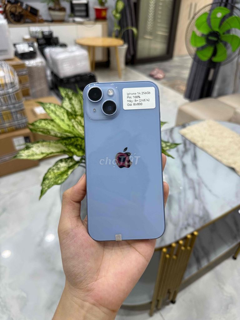 Apple iPhone 14 256GB Xanh Zin. Mua bán Điện thoại tại Huyện Hóc Môn Tp Hồ Chí Minh được đăng bởi Luân Hoài hình 1