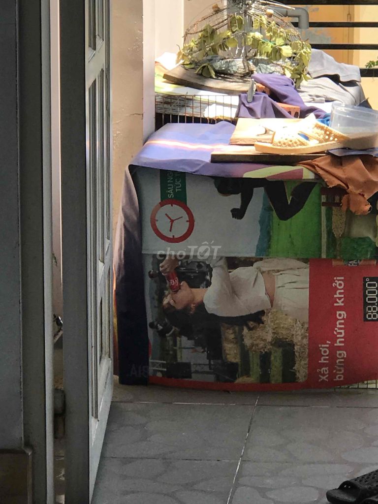 Chim cảnh Đít vàng đầu trắng. Mua bán Chim tại Quận Gò Vấp Tp Hồ Chí Minh được đăng bởi tèo hình 1