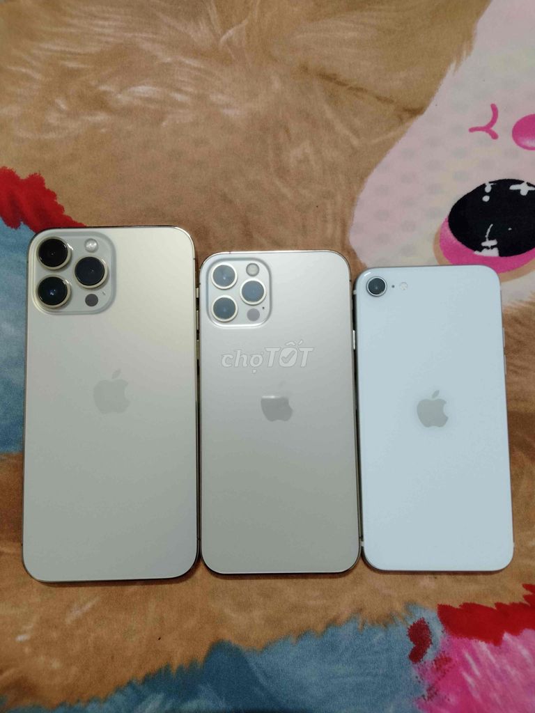 iphone 12 pro. Mua bán Điện thoại tại Huyện Phú Tân An Giang được đăng bởi Pháp Vương hình 1