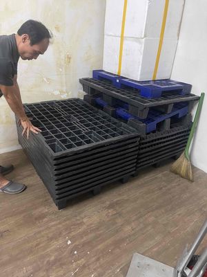 Pallet nhựa kt 80cmx120cm. Mua bán Đồ chuyên dụng, Giống nuôi trồng tại Quận Thanh Xuân Hà Nội được đăng bởi Huy Đặng