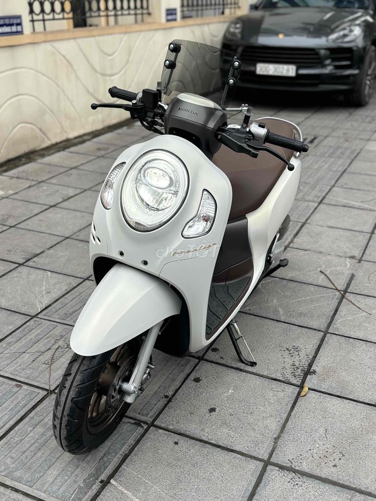 XE MÁY GIÁNG MẠNH - Honda Scoopy 2024 Nhập Khẩu