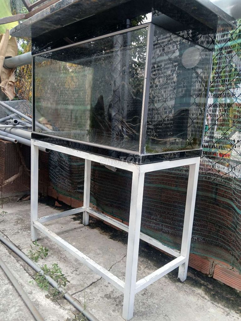 Combo bể cá và lọc SOBO. Mua bán Phụ kiện, Thức ăn, Dịch vụ tại Thành phố Tây Ninh Tây Ninh được đăng bởi Tấn Phát Lê hình 1