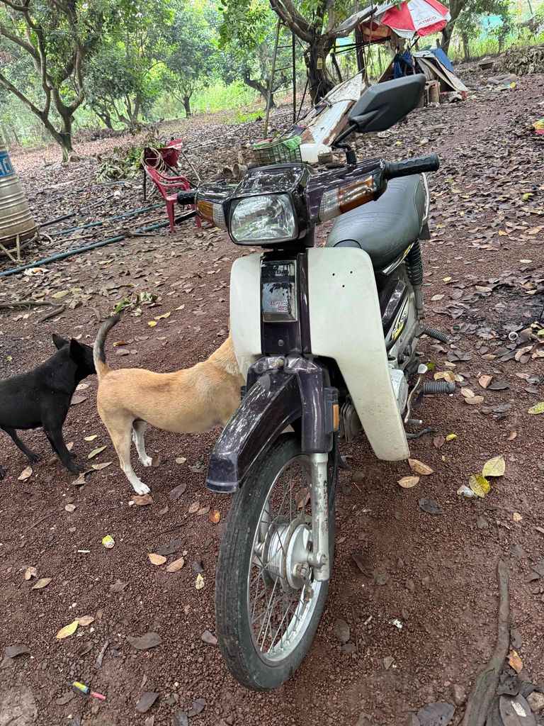 boss sada siêu bền siêu tiết kiệm xăng. Mua bán Xe máy tại Huyện Trảng Bom Đồng Nai được đăng bởi fb Ngọc Hưng hoàng  hình 5