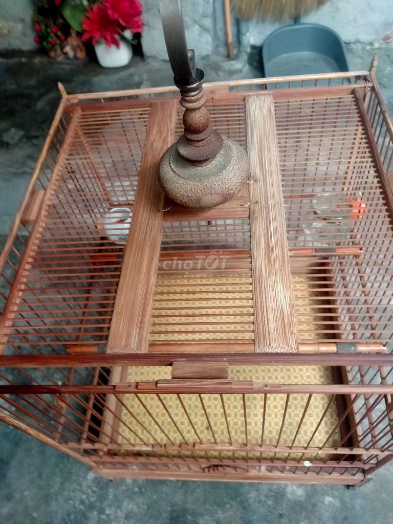 Cả bộ chào mào vuông đấu tre già hàng đặt 700k