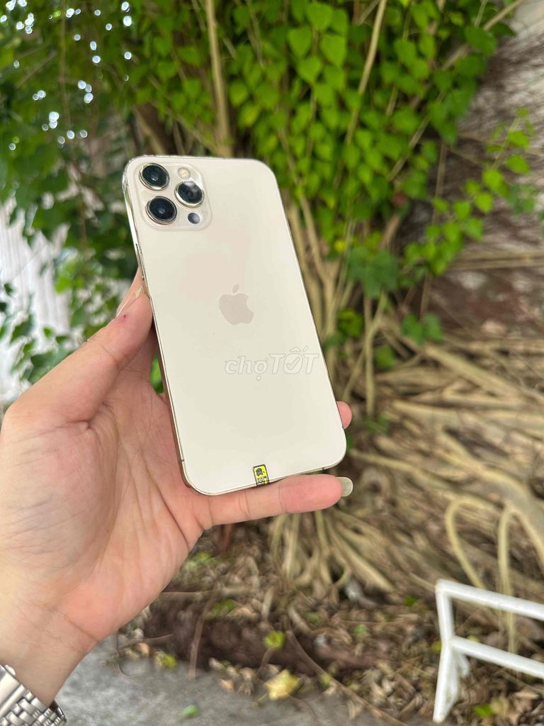 Apple iPhone 12 Pro Max 128GB Vàng 98%. Mua bán Điện thoại tại Thành phố Vũng Tàu Bà Rịa - Vũng Tàu được đăng bởi BINHHYK  hình 1