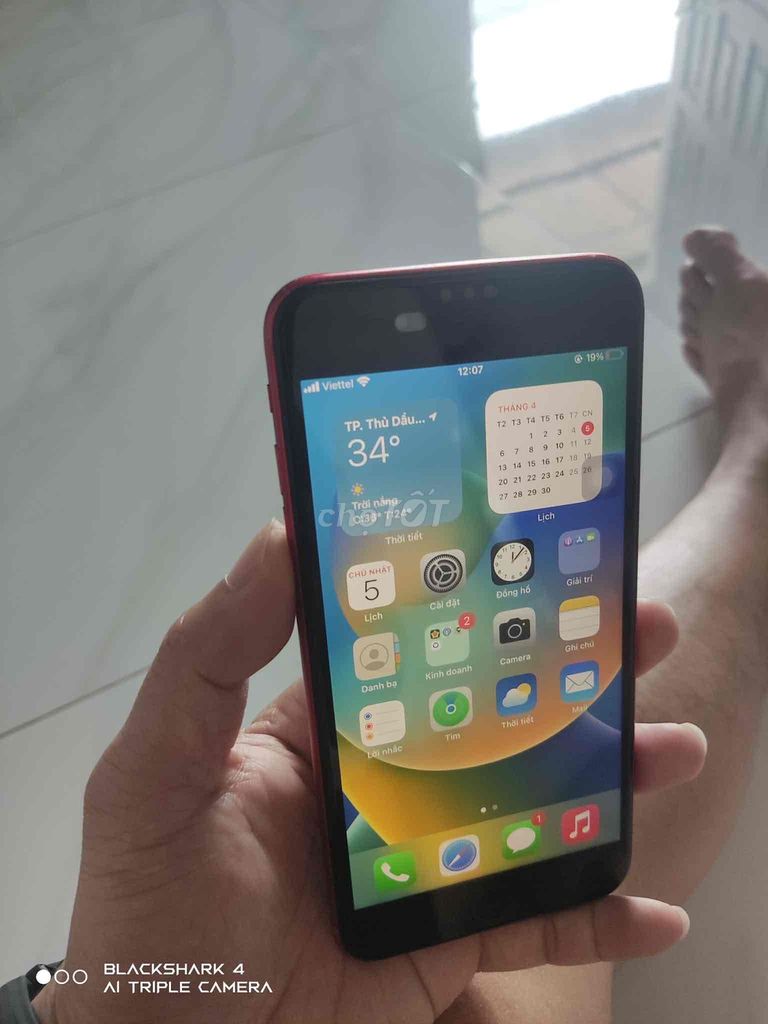 Apple iPhone 8 Plus Đỏ Đã sử dụng. Mua bán Điện thoại tại Thành phố Thủ Dầu Một Bình Dương được đăng bởi Ngô Chí Công hình 1