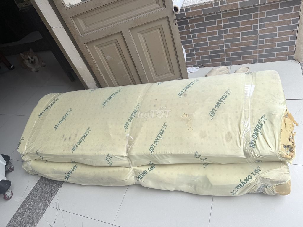 Nệm Thắng Lợi Cao su non 160x200 đã sử dụng. Mua bán Giường, chăn ga gối nệm tại Quận 12 Tp Hồ Chí Minh được đăng bởi nhựt hình 1