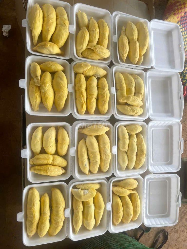 Sầu riêng vườn nhà. RI.THÁI.MUSANGKING. Mua bán Đồ ăn, thực phẩm và các loại khác tại Quận Tân Phú Tp Hồ Chí Minh được đăng bởi Nguyễn Định Thành hình 4