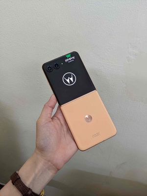 Motorola Razr 50 Ultra 256GB  | Hỗ trợ trả Góp