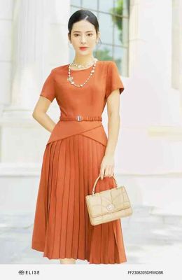 Đầm Elise nâu, chân váy dập ly. Mua bán Quần áo tại Thành phố Biên Hòa Đồng Nai được đăng bởi Phùng Thị Ngọc Linh