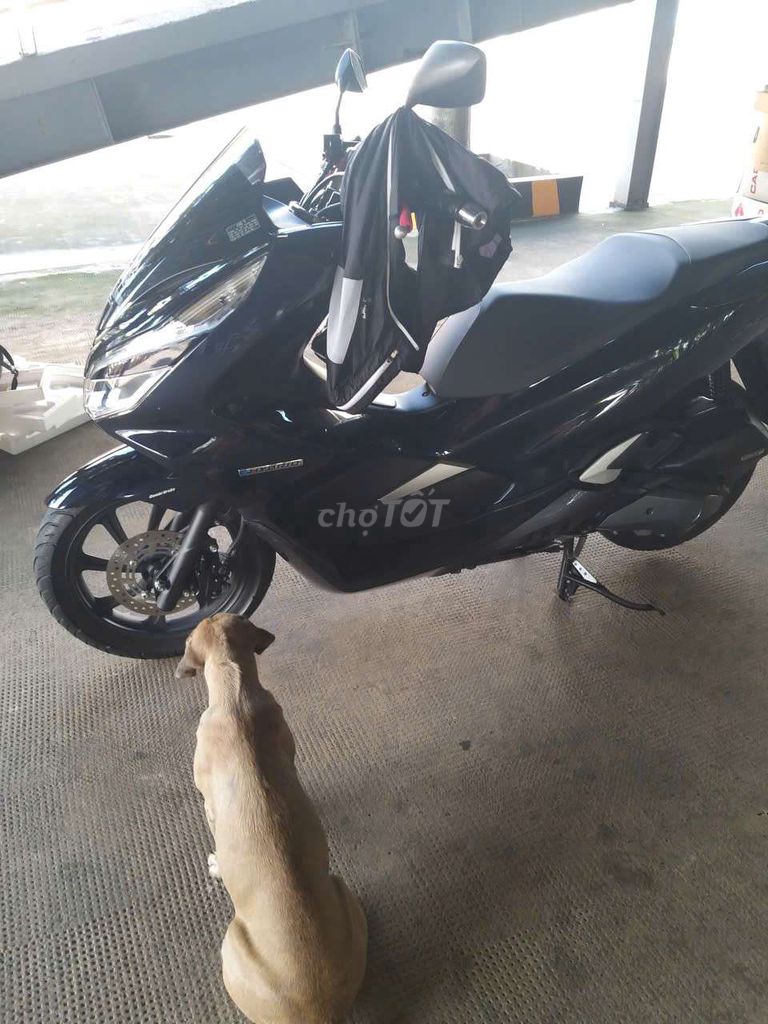Хонда PCX Гибрид 2021 Синий Черный