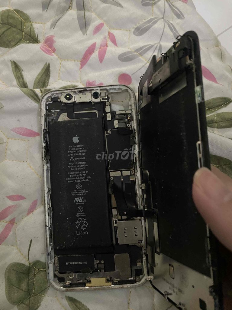 Apple iPhone XR Trắng giá xác main sống. Mua bán Điện thoại tại Quận Hà Đông Hà Nội được đăng bởi HĐN hình 1