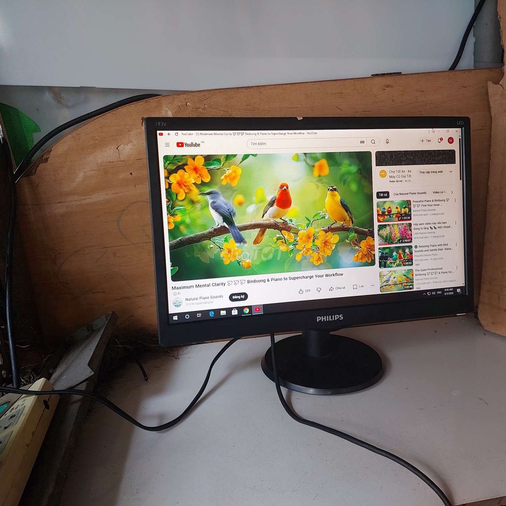 Màn hình Philips 19 inch Đã sử dụng. Mua bán Phụ kiện (Màn hình, Chuột...) tại Quận 11 Tp Hồ Chí Minh được đăng bởi hb computer hình 1