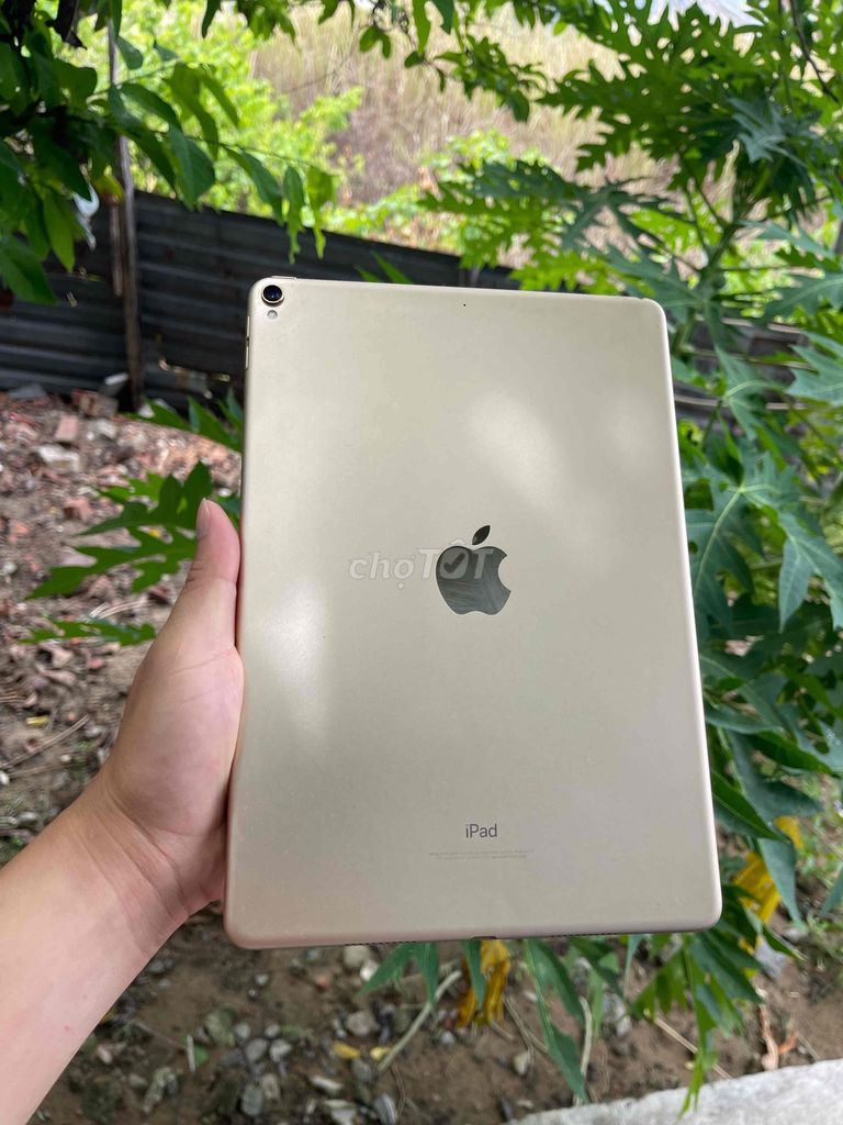 iPad Pro 10.5 inch 64GB Vàng. tặng ốp lưng. Mua bán Máy tính bảng tại Quận Ngũ Hành Sơn Đà Nẵng được đăng bởi Phạm Hùng FPT City hình 1