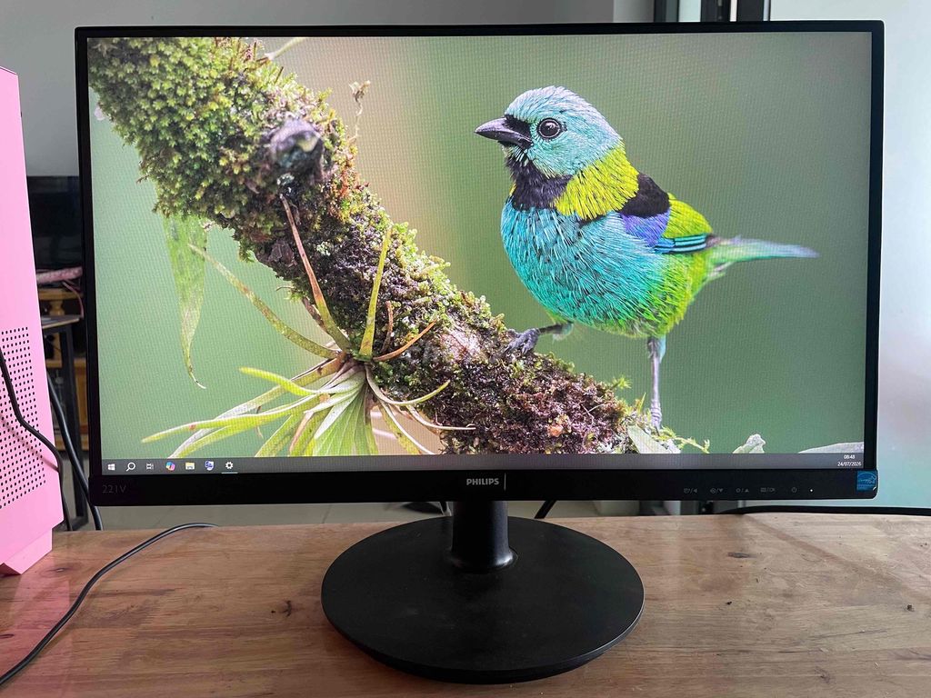 Màn hình Philips 221V8 22 inch Full HD. Mua bán Phụ kiện (Màn hình, Chuột...) tại Thị xã Phú Mỹ Bà Rịa - Vũng Tàu được đăng bởi phat hoang hình 1
