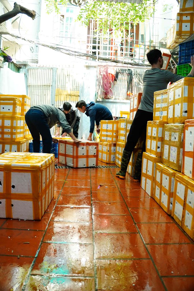 Tuyển nhân viên giao hàng. Việc làm tại Quận Thanh Xuân Hà Nội được đăng bởi Hải sản Ngọc Hân hình 3