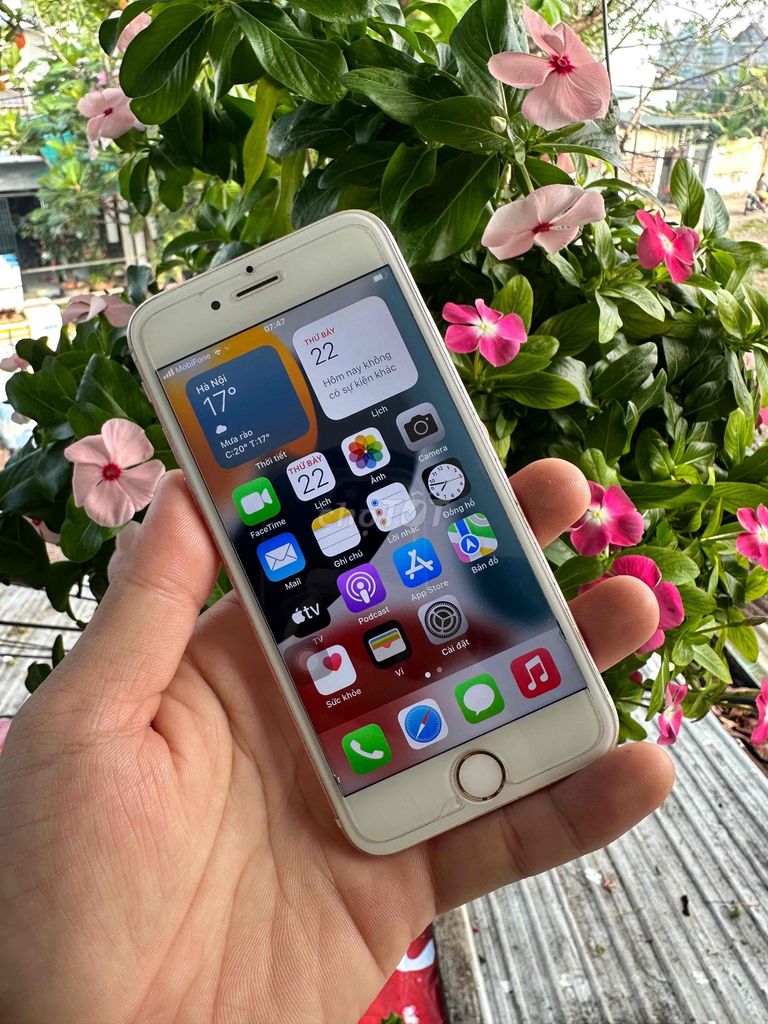 iphone 6S mã VN/A quốc tế full vân tay