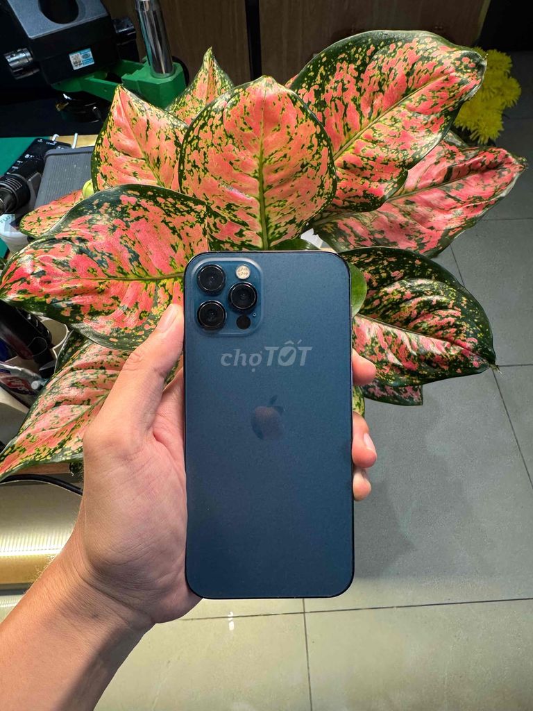Apple iPhone 12 Pro 512GB Xanh. Mua bán Điện thoại tại Quận Ninh Kiều Cần Thơ được đăng bởi Lộc Nghiêm Mobile hình 1