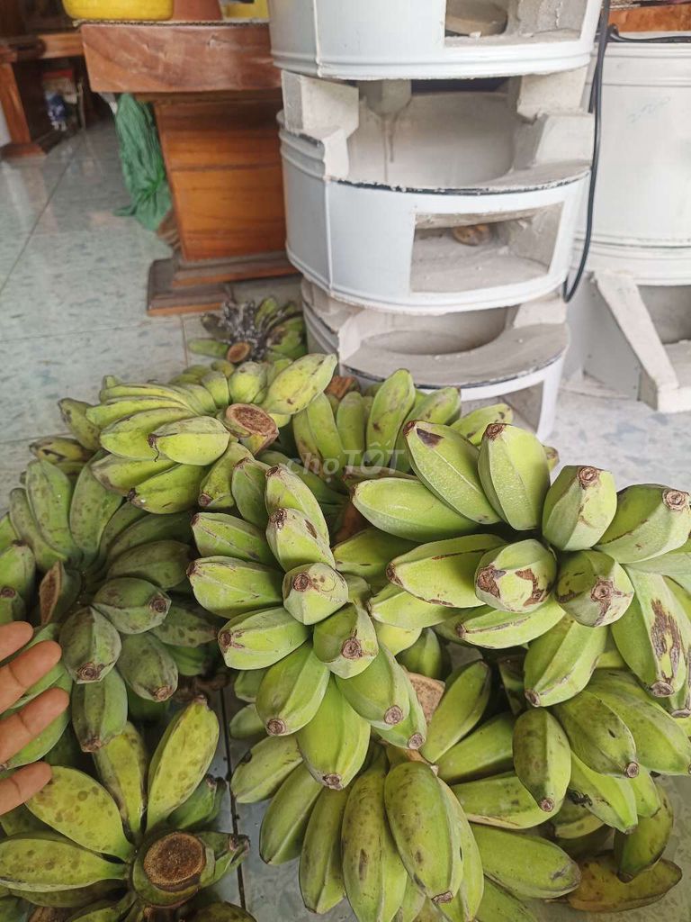 Bưởi da xanh chất lượng. Mua bán Đồ ăn, thực phẩm và các loại khác tại Thị xã Bến Cát Bình Dương được đăng bởi Lê Nguyễn hình 1
