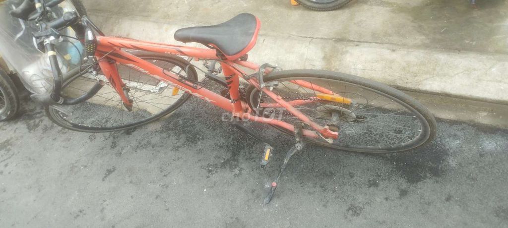 Xe đạp thể thao Phoenix Gravel Hợp kim nhôm. Mua bán Xe đạp tại Quận Tân Bình Tp Hồ Chí Minh được đăng bởi Lê Viết Hoà hình 1