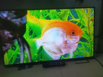 Led tv panasonic 32in hình ảnh đẹp. Mua bán Tivi, Âm thanh tại Huyện Bình Chánh Tp Hồ Chí Minh được đăng bởi pham quang vinh