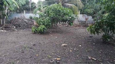 Plot of land 530 m² · Đường Duyên Hải