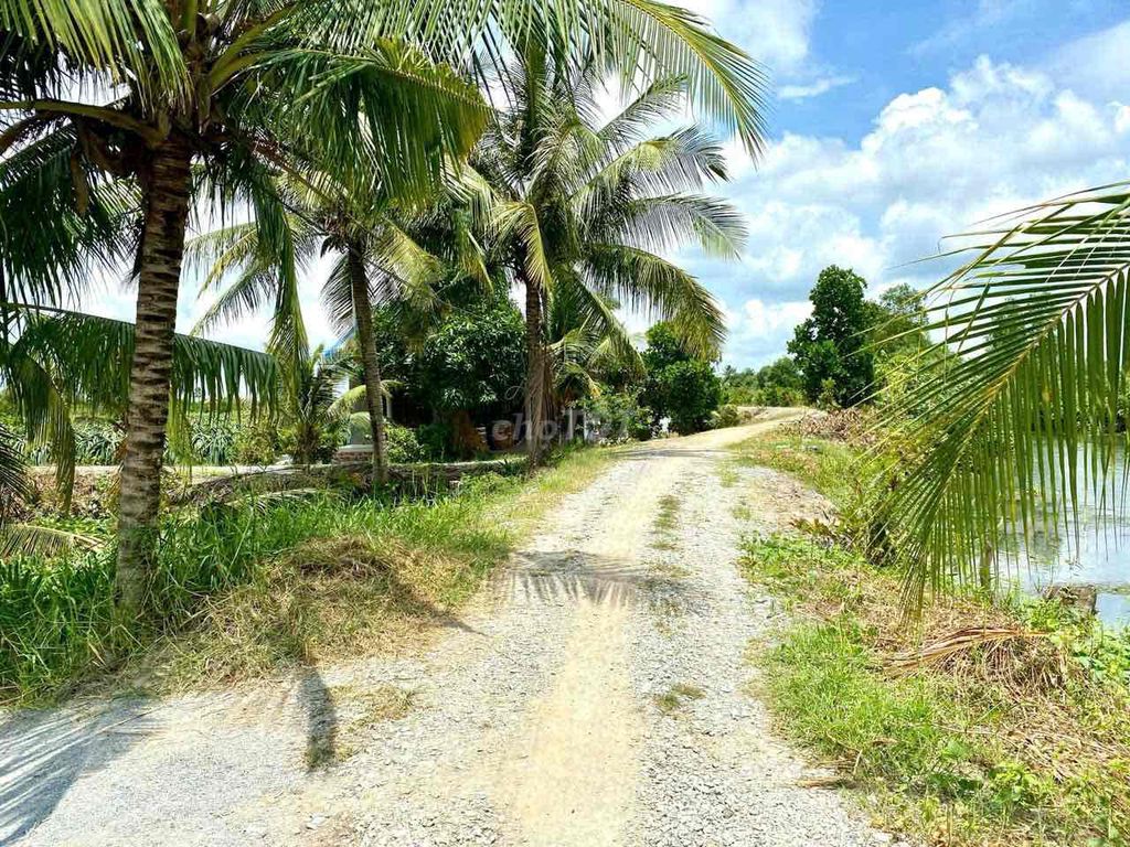 Đất thổ vườn 2 mặt tiền sông lớn đg ô tô tải cách 816 tầm 300m. Mua bán đất tại Huyện Bến Lức Long An được đăng bởi Phan Anh Khoa hình 5