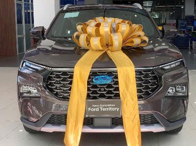 Ford Territory Full Nâu 17.000km