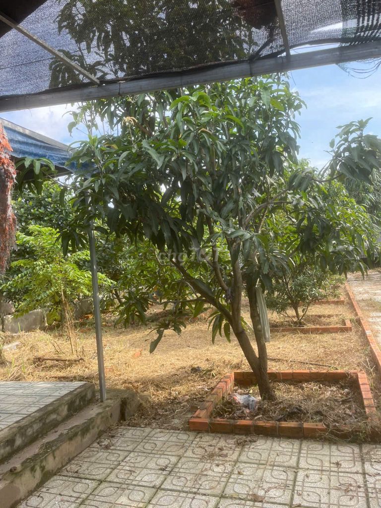 Nhà vườn 500m2 Bình Mỹ giá tốt 2,25 tỷ Đường Bình Mỹ, Xã Bình Mỹ, Huyện Củ Chi, Tp Hồ Chí Minh Huyện Củ Chi Tp Hồ Chí Minh