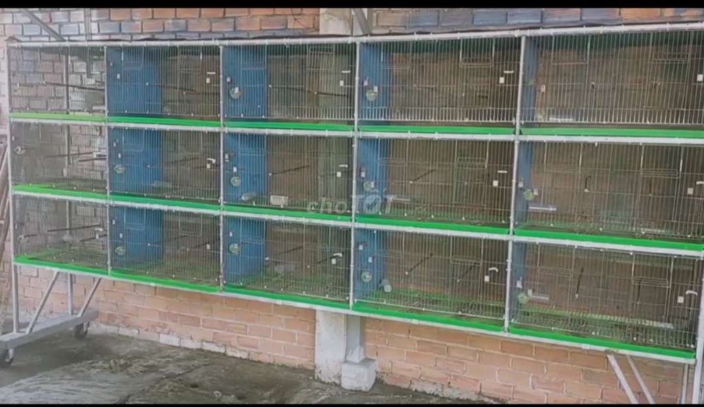 Cần bán 2 khung lồng nhốt chim gà