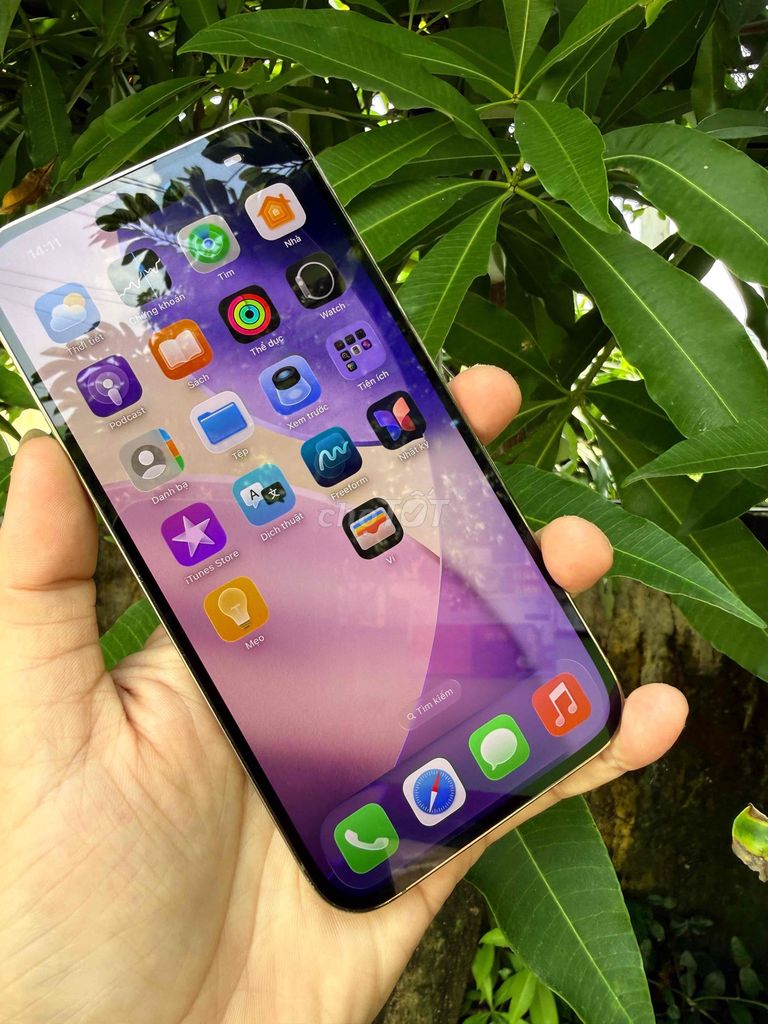 Apple iPhone 14 Pro Max 128GB Tím, Gold Đã Full qt. Mua bán Điện thoại tại Quận Ninh Kiều Cần Thơ được đăng bởi trà văn minh hình 1