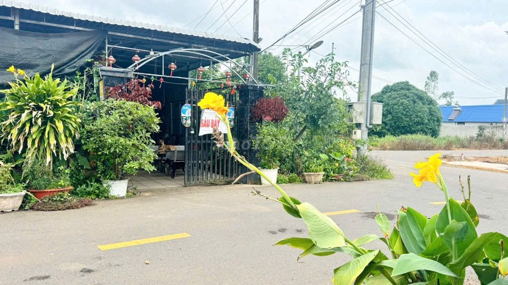 BÁN NHANH LÔ ĐẤT NGAY KCN ĐẤT ĐỎ 207M2 NGANG 10 CHỈ 1 TỶ NHỈNH